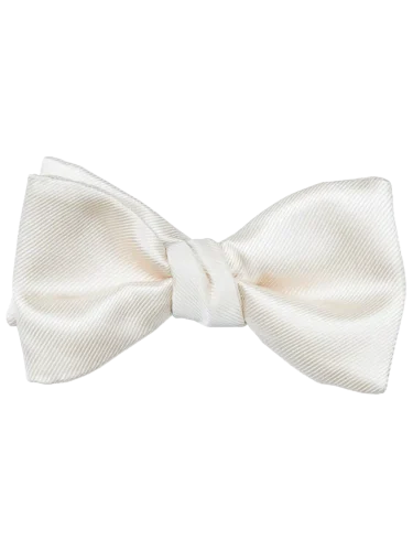 Modern Solid Diamond White Bow Tie