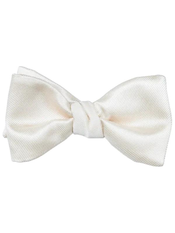 Modern Solid Diamond White Bow Tie