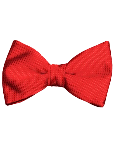 Mr. Burch Apple Romance Bow Tie