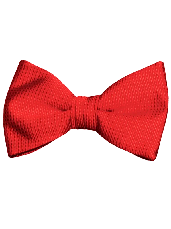 Mr. Burch Apple Romance Bow Tie