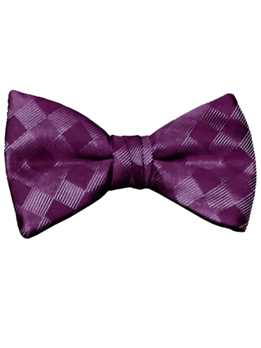 Mr. Burch Romance Casis Bow Tie