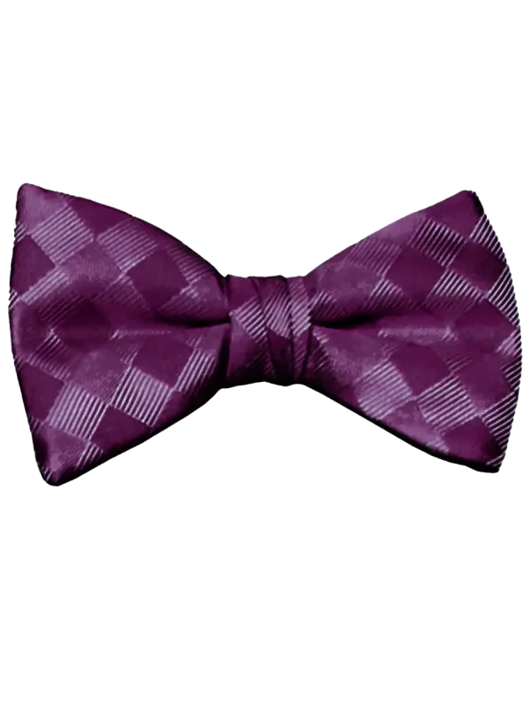 Mr. Burch Romance Casis Bow Tie