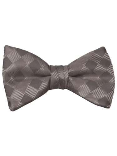 Charcoal Romance Bow Tie