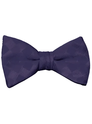 Romance Eggplant Bow Tie