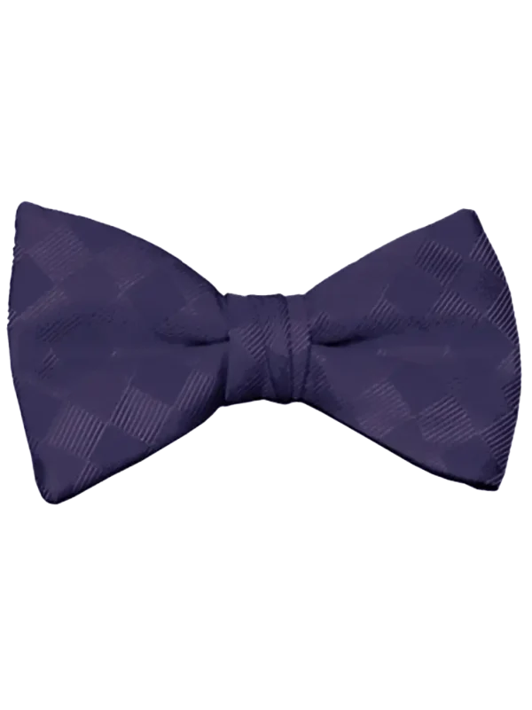 Romance Eggplant Bow Tie