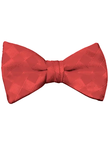 Mr. Burch Ferrari Red Romance Bow Tie