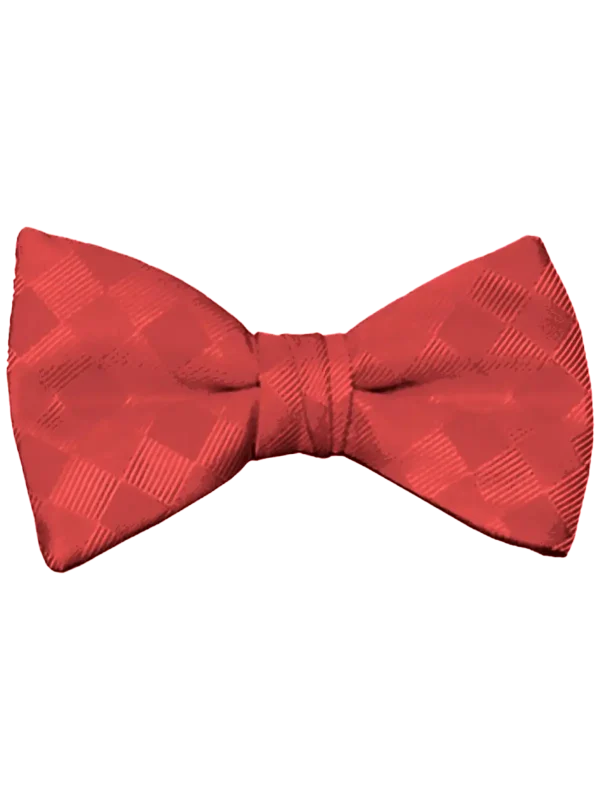 Mr. Burch Ferrari Red Romance Bow Tie