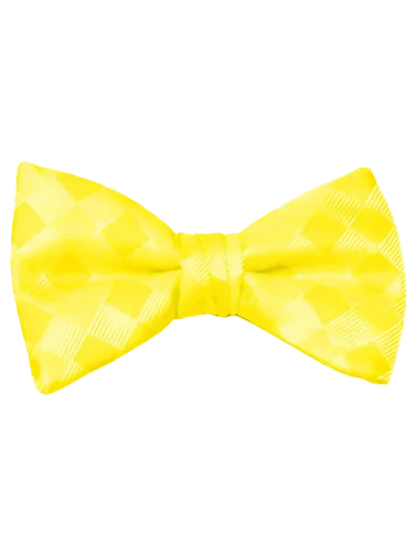 Mr. Burch Lemon Romance bow tie