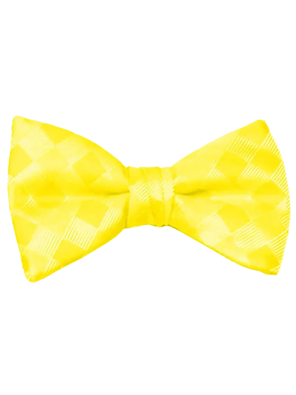 Mr. Burch Lemon Romance bow tie