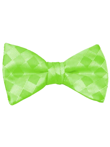 Mr. Burch Romance Lime Green Bow Tie