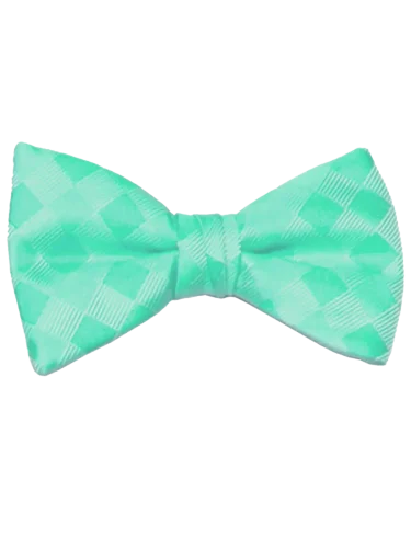 Mr. Burch Romance Mermaid Bow Tie