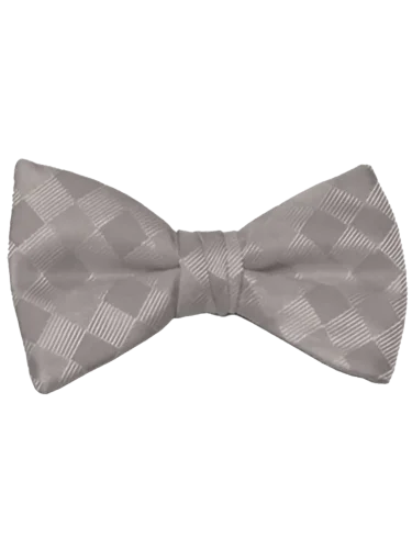 Platinum Romance Bow Tie