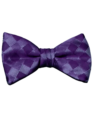 Mr. Burch Romance Purple Bow Tie