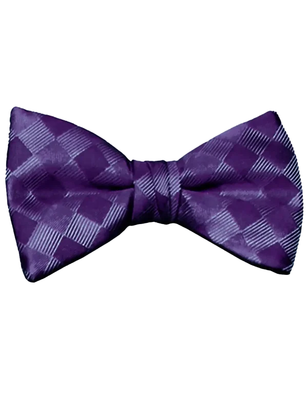 Mr. Burch Romance Purple Bow Tie