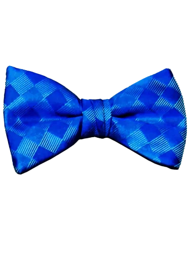 Mr. Burch Romance Royal Blue Bow Tie