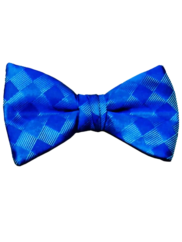 Mr. Burch Romance Royal Blue Bow Tie