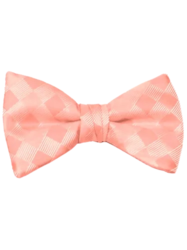 Mr. Burch Romance Salmon Bow Tie