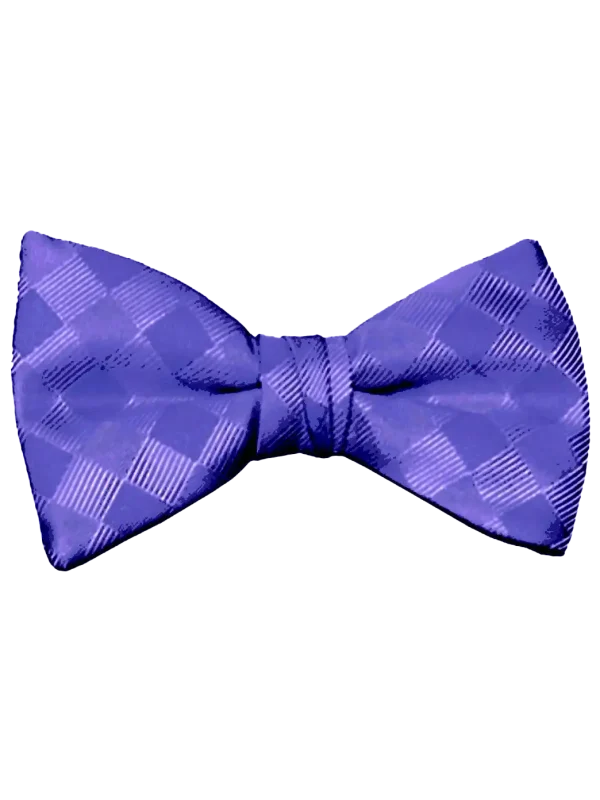 Mr. Burch Romance Sapphire Bow Tie