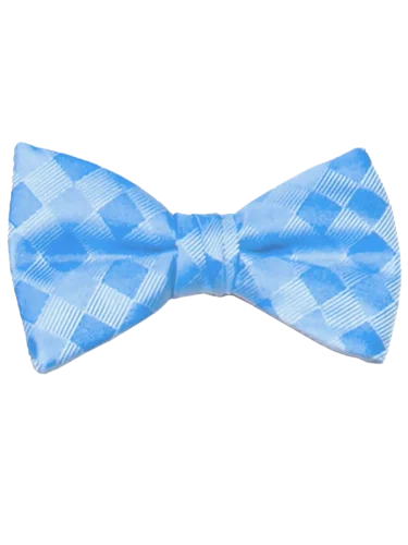 Mr. Burch Romance Sky Blue Bow Tie