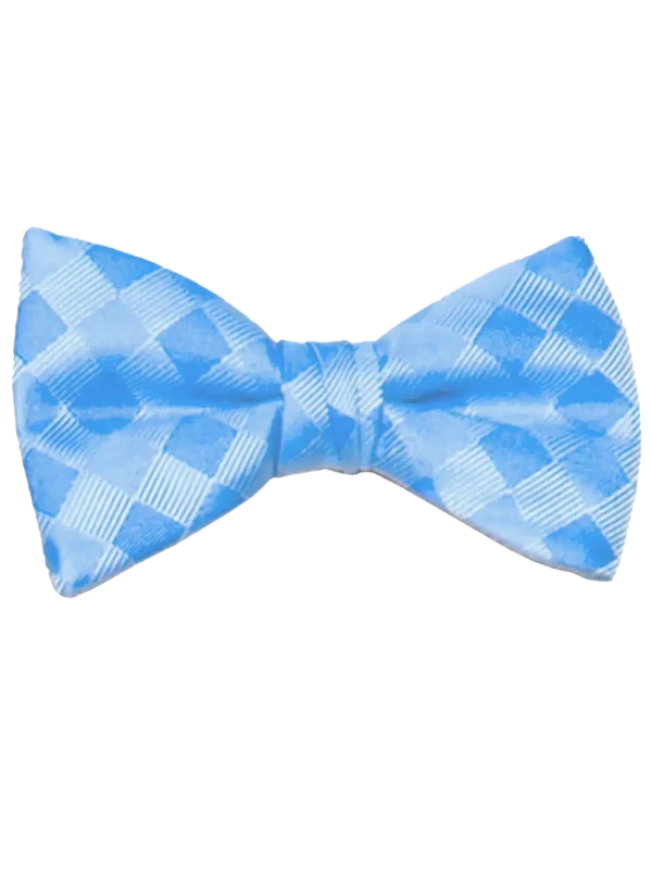 Mr. Burch Romance Sky Blue Bow Tie