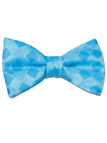 Mr. Burch Romance Turquoise Bow Tie