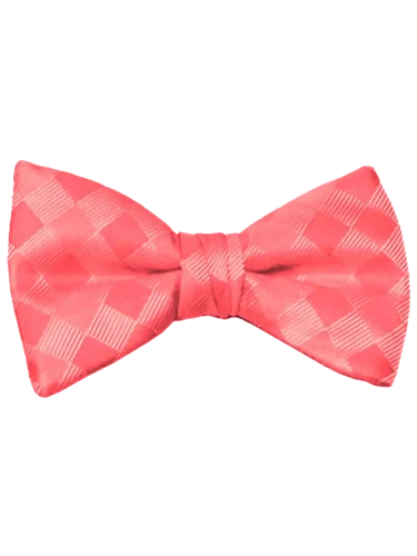 Mr. Burch Romance Watermelon Bow Tie